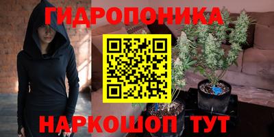 МДПВ Рыбинск