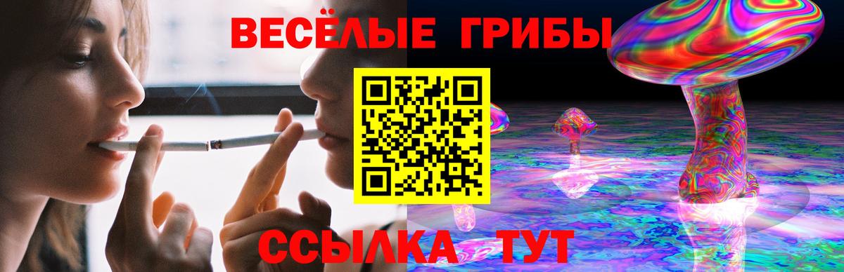 Галлюциногенные грибы мухоморы  Вход с VPN  купить  сайты  Ачинск  Псилоцибиновые грибы ЛСД 